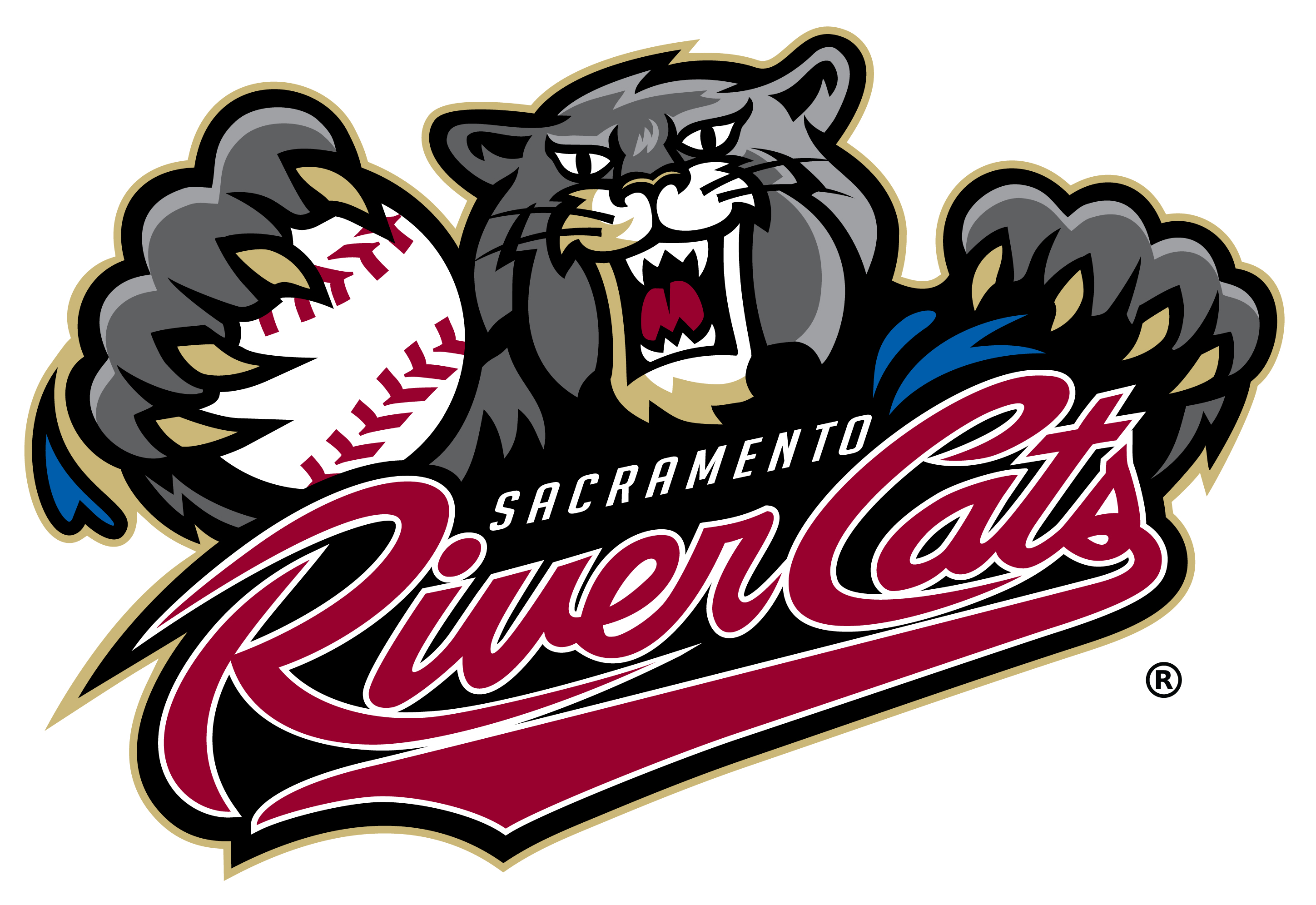 sacramento-river-cats-professional-engineers-in-california-government